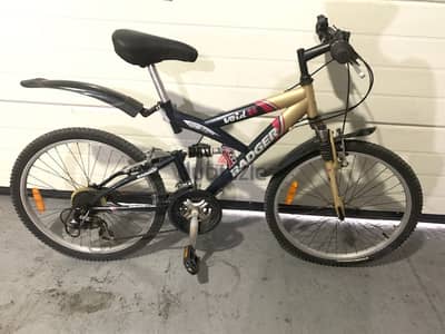 Badger MTB 24”