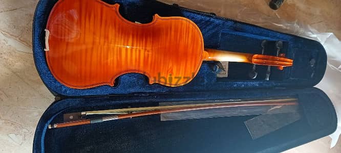 violin