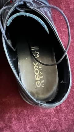 Geox shoes for men 20$