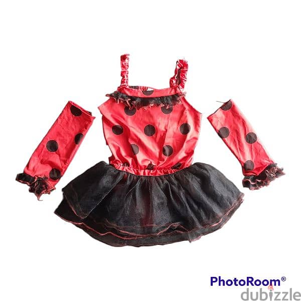 Lady Bug Costume for girls 1