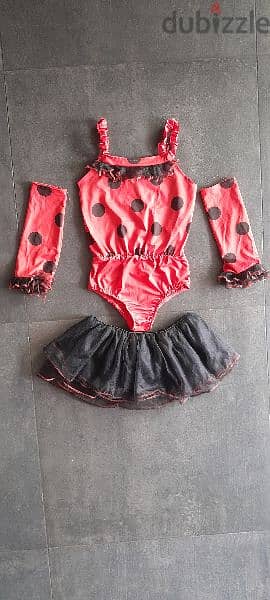 Lady Bug Costume for girls 3