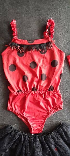 Lady Bug Costume for girls 4