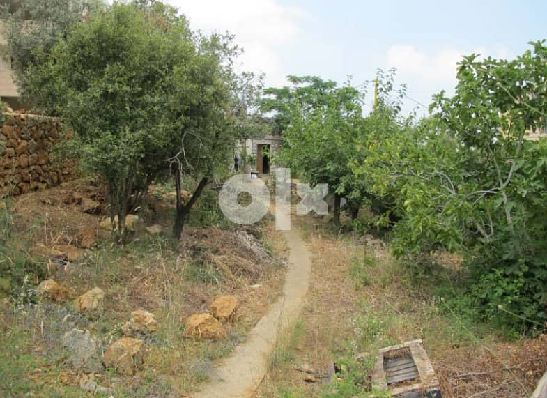 Land for Sale in Jouret Al Ballout 1