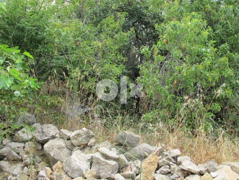 Land for Sale in Jouret Al Ballout 5