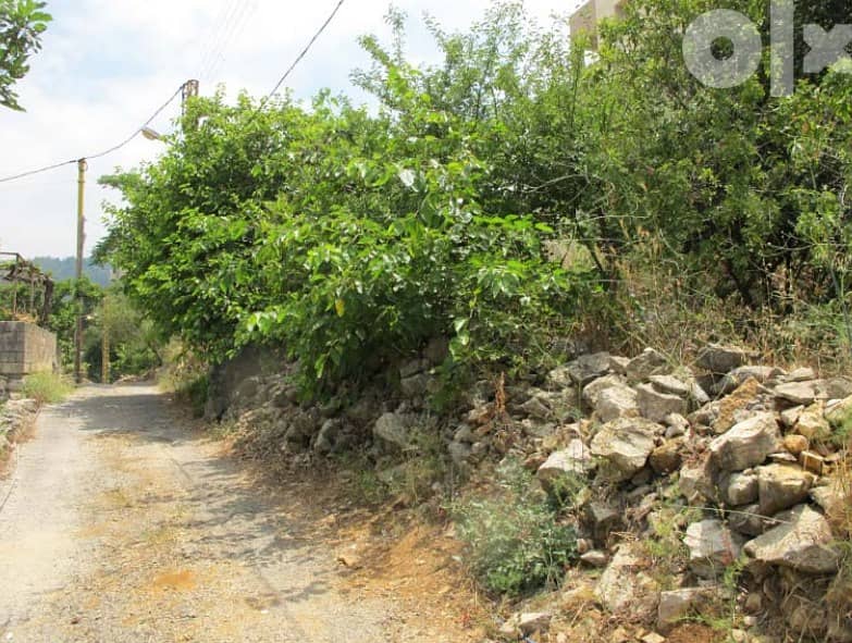 Land for Sale in Jouret Al Ballout 6