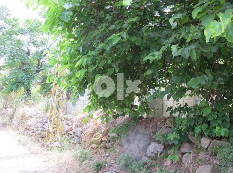 Land for Sale in Jouret Al Ballout 7