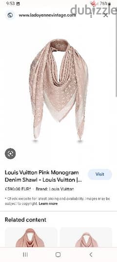 Louis Vuitton Scarf 0