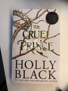 The Cruel Prince by Holly Black 0