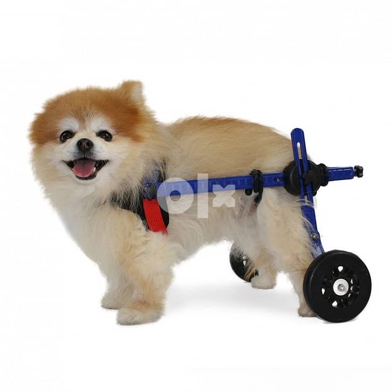 Wheelchair for dogs with weak or paralyzed hind legs 0