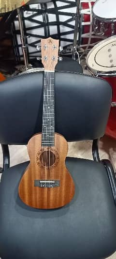 concert ukulele 23"
