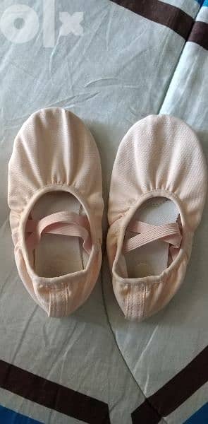 ballet shoes