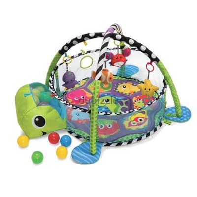 Activity Gym & Ball Pit