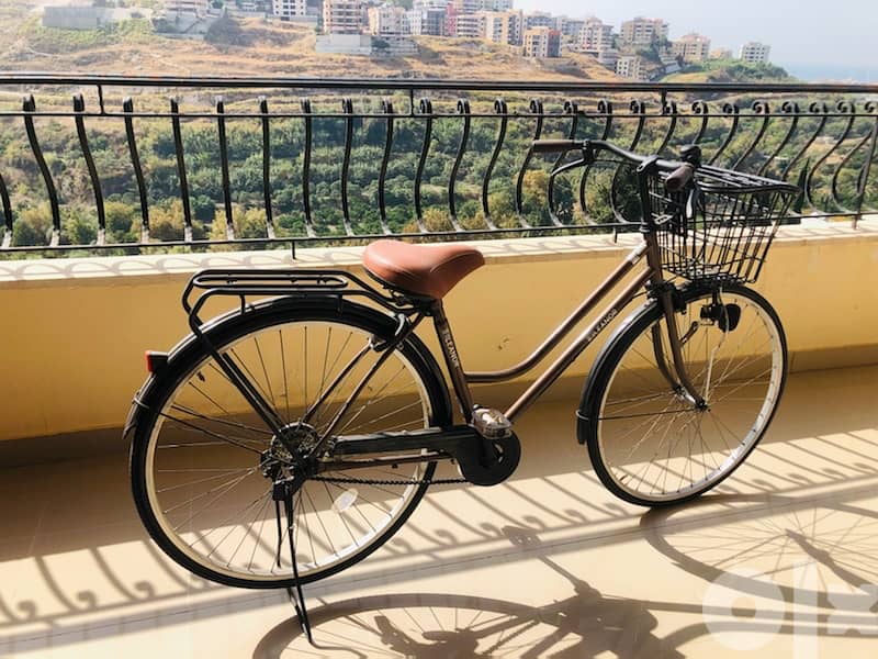 Vintage City Bicycle 1