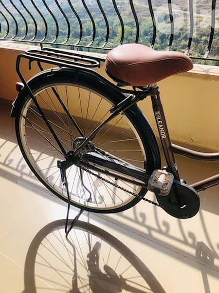 Vintage City Bicycle 3