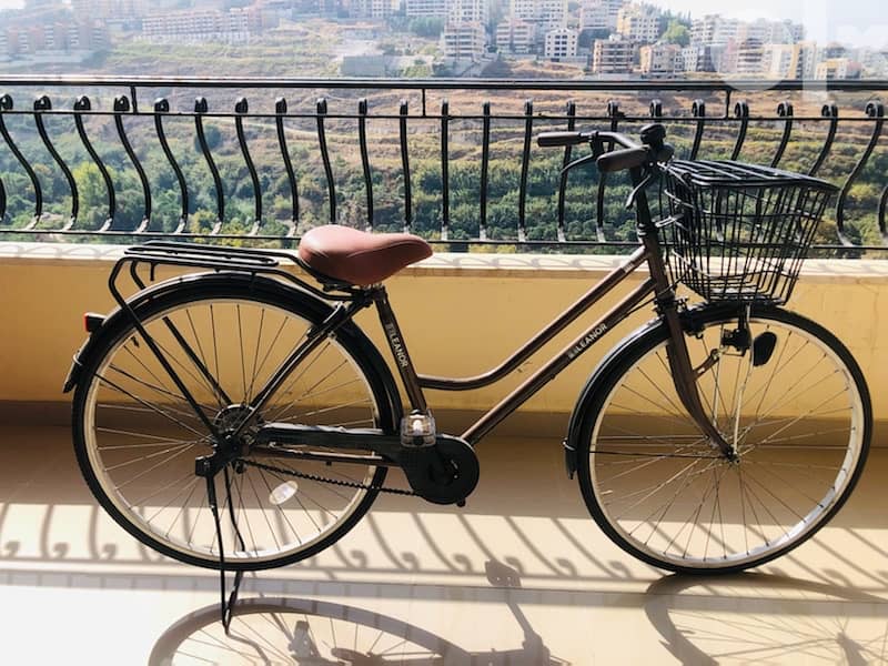 Vintage City Bicycle 0