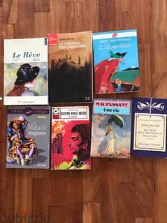 Books in French 0
