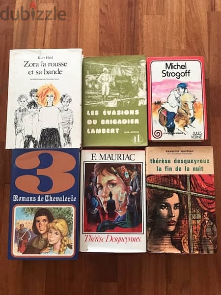 Books in French 2