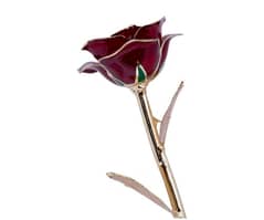 Eternal Flower (Real Rose Dipped in 24k Gold) 0