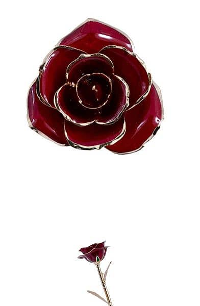 Eternal Flower (Real Rose Dipped in 24k Gold) 3