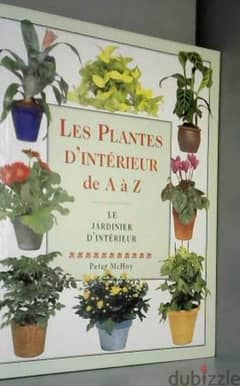 Les plantes d'intérieur de A à Z