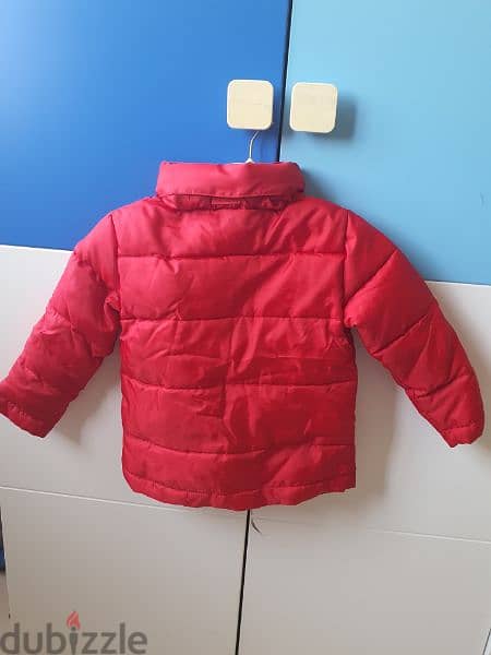Baby jacket St. Bernard/ جاكيت ولادي 1
