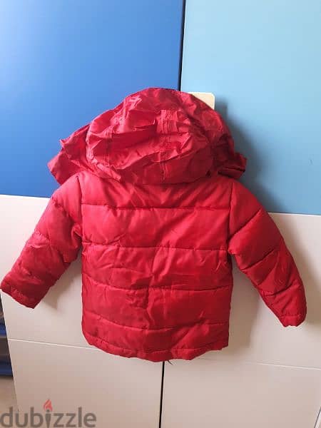 Baby jacket St. Bernard/ جاكيت ولادي 2