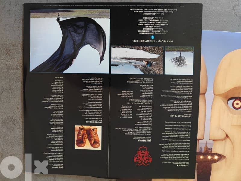 the division bell Pink Floyd vinyl 3