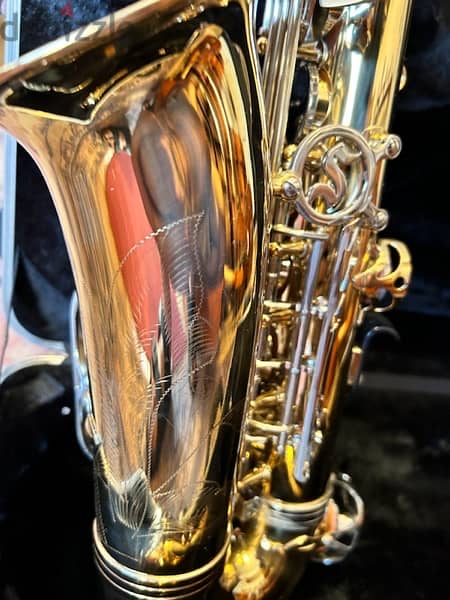 Selmer Saxophone Alto 10