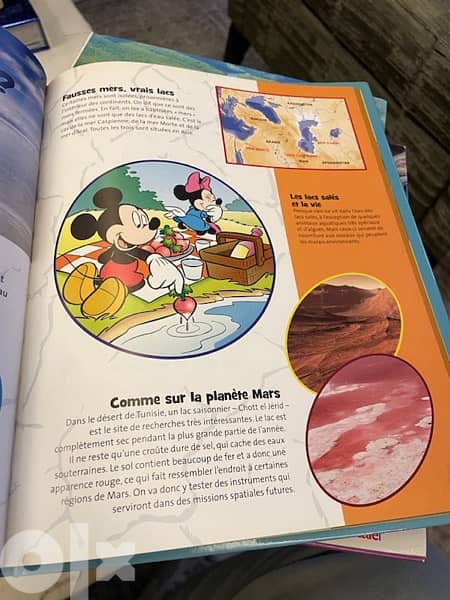 Serie “Ma Planete en Questions & Reponses” - Disney 1