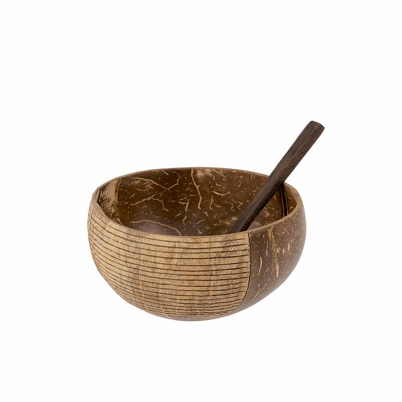 Coconut Bowl with Bamboo Spoon 0