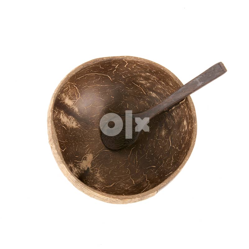 Coconut Bowl with Bamboo Spoon 1