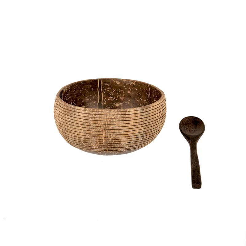 Coconut Bowl with Bamboo Spoon 2