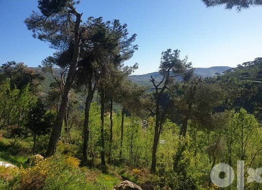 L10450-Beautiful Land For Sale in Baskinta Surrounded with Greenery 2