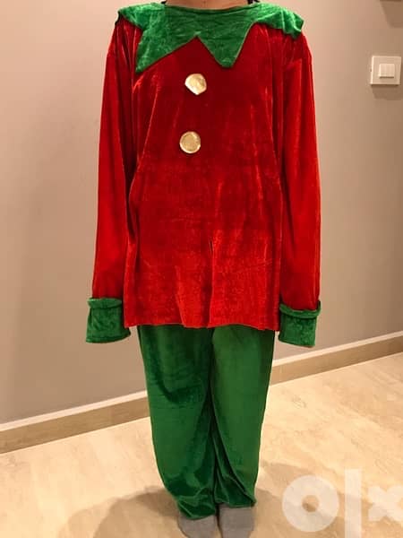 Elf / Lutin Christmas costume 0