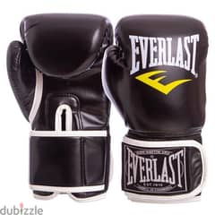 Everlast Professional Boxing and Thai Training 0