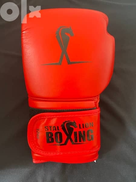 boxing gloves 2