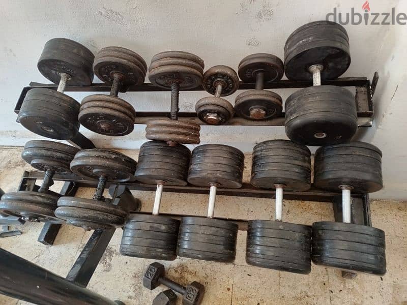 All kind of DUMBBELLS & WEIGHT PLATES NEW & USED 03027072  GEO 2