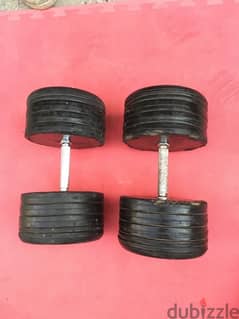 set dumbbells 310 kg in good condition 70/443573 RODGE