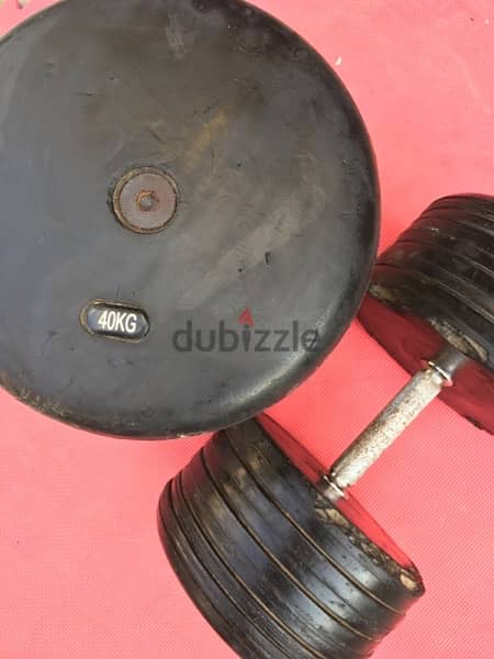 set dumbbells 310 kg in good condition 70/443573 RODGE 1