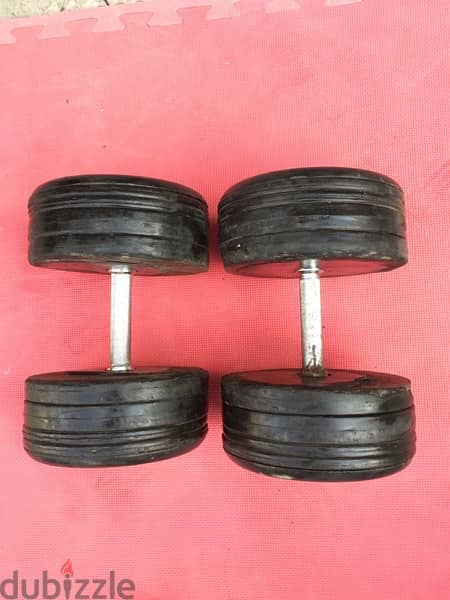 set dumbbells 310 kg in good condition 70/443573 RODGE 4