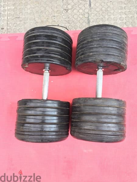 set dumbbells 310 kg in good condition 70/443573 RODGE 5