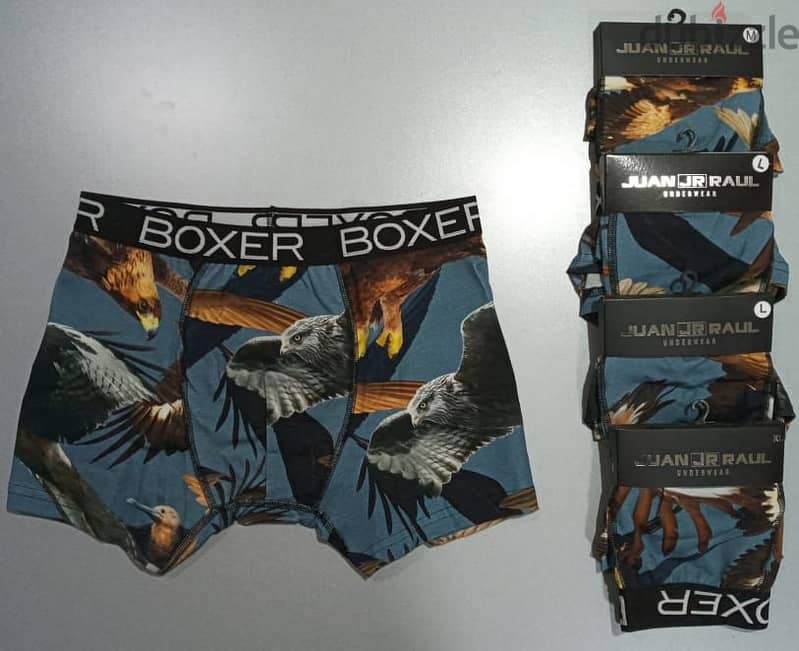 High Quality Boxers 8