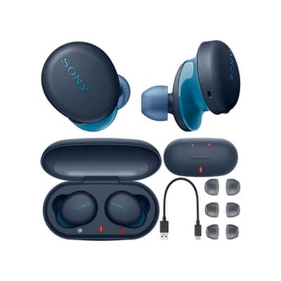 Sony WF-XB700 Wireless Earbuds with EXTRA BASS