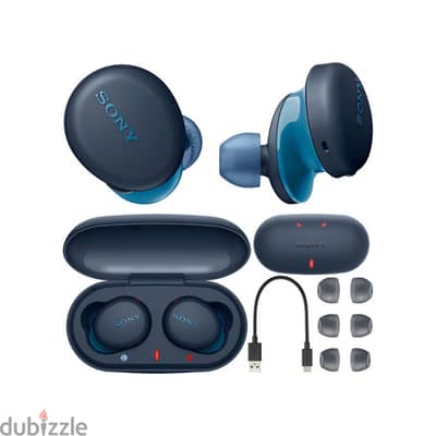 Sony WF-XB700 EXTRA BASS True Wireless Earbuds Headset