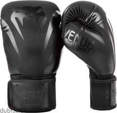 Venum boxing gloves