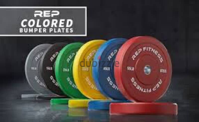 colored bumper plates new very good quality 70/443573 RODGE 0
