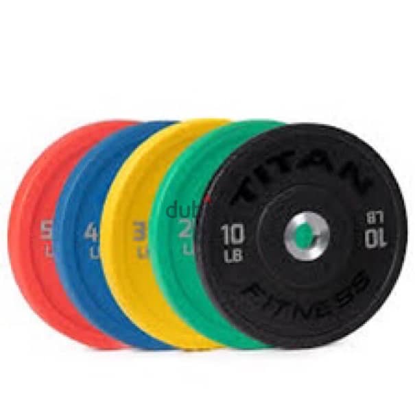 colored bumper plates new very good quality 70/443573 RODGE 1