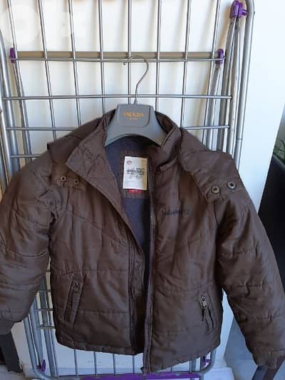 timberland jacket color brown size 6 years for boy calling 03 872336