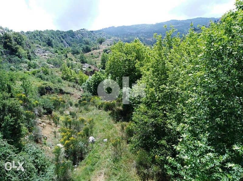 chalet behind river surrounded by trees starting 6