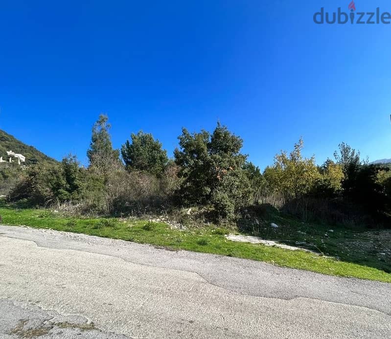 700 Sqm|Land for sale in Kfour|Sea view 0